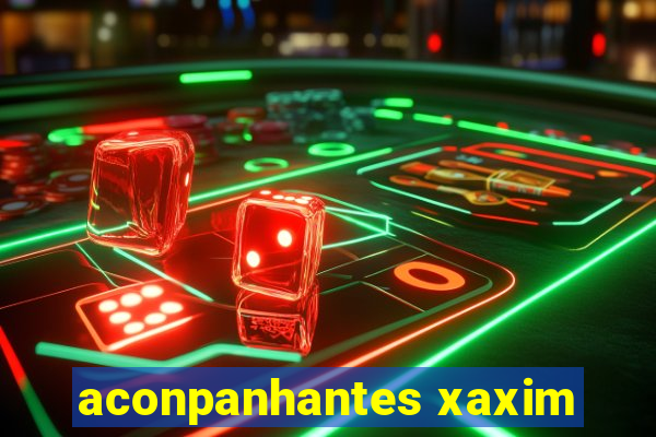 aconpanhantes xaxim